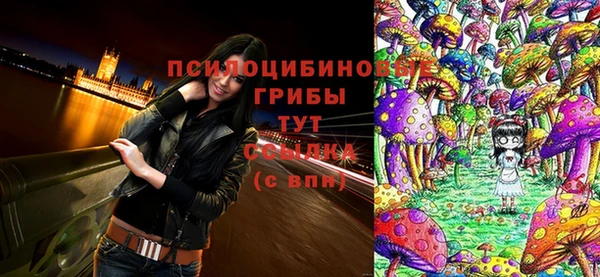прущий лед Абаза
