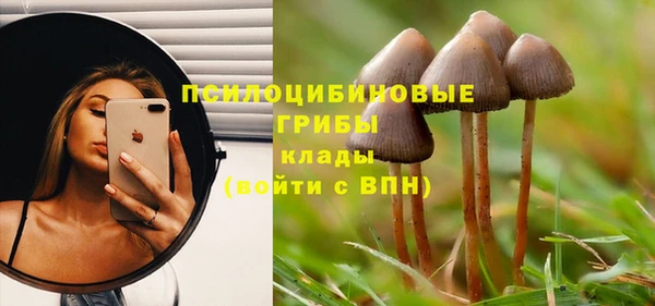 прущий лед Абаза