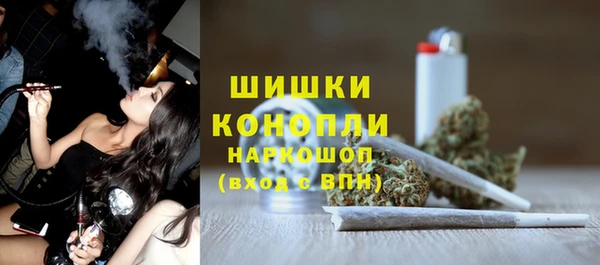 стаф Абинск