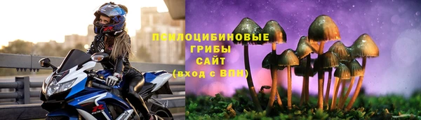 прущий лед Абаза