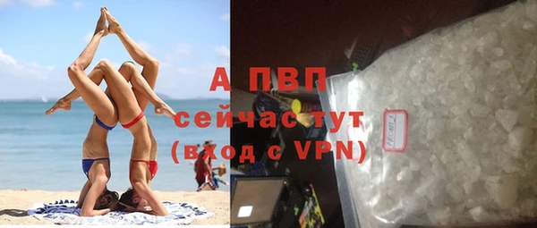 стаф Абинск
