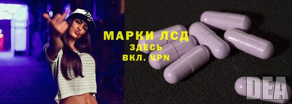 стаф Абинск