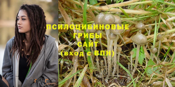прущий лед Абаза