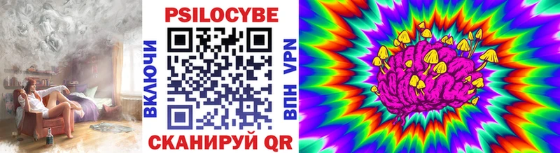 даркнет сайт Кирсанов Псилоцибиновые грибы MAGIC MUSHROOMS